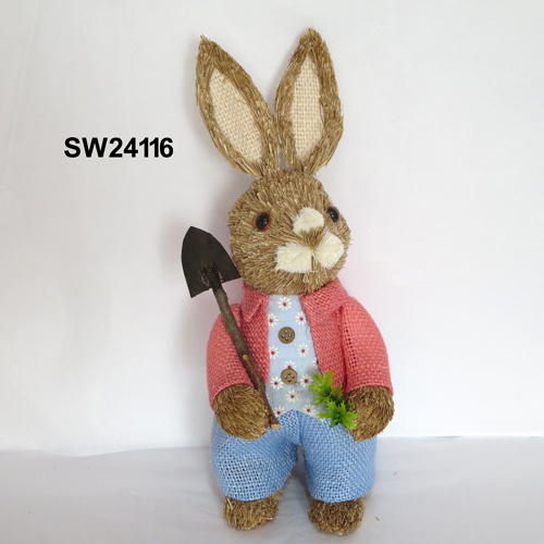 SW24116