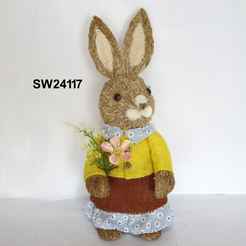 SW24117
