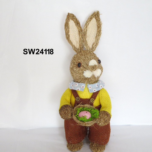 SW24118