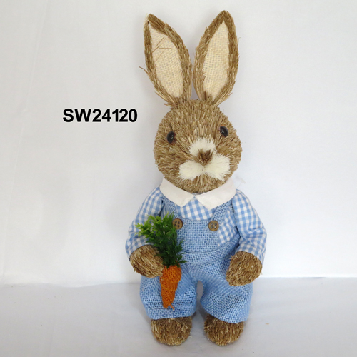 SW24120