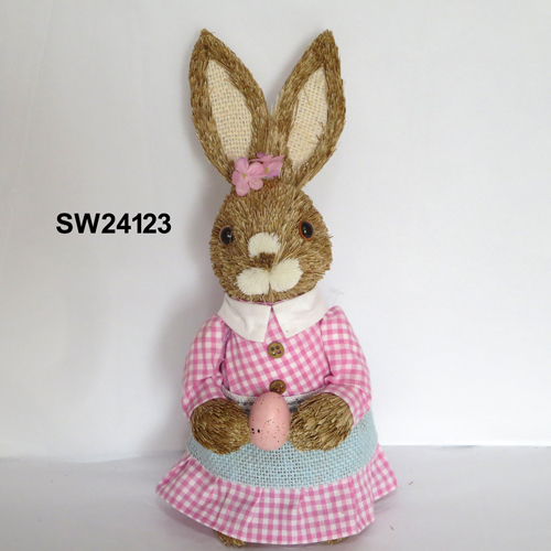 SW24123