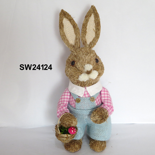 SW24124