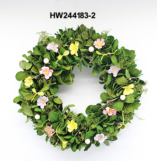 HW244183-2