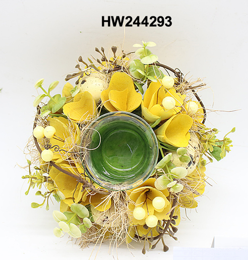 HW244293