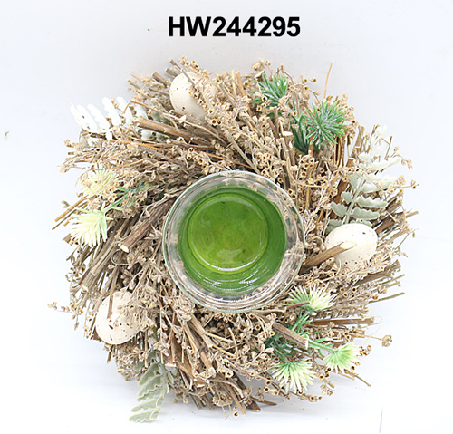 HW244295