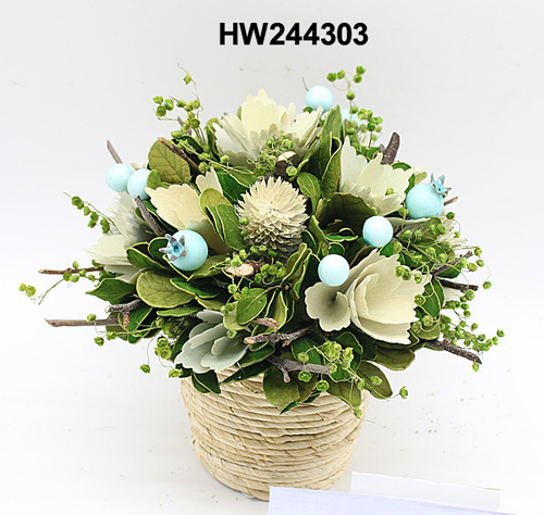 HW244303