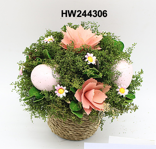 HW244306