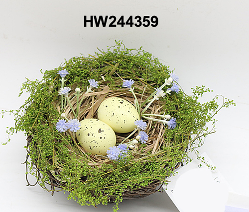 HW244359