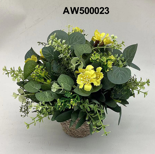 AW500023