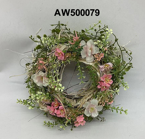 AW500079