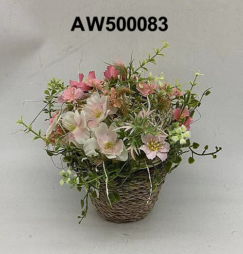 AW500083