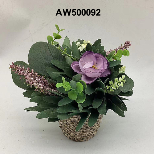 AW500092