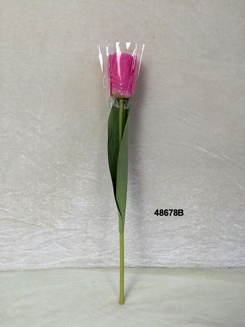 48678B