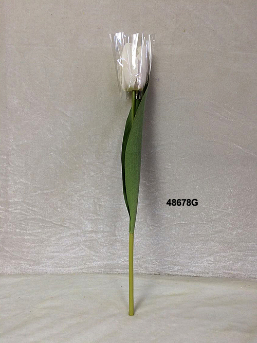 48678G