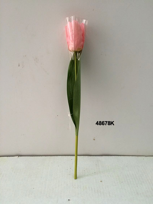 48678K