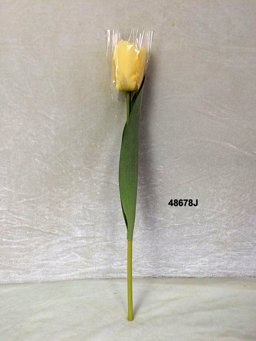 48678J
