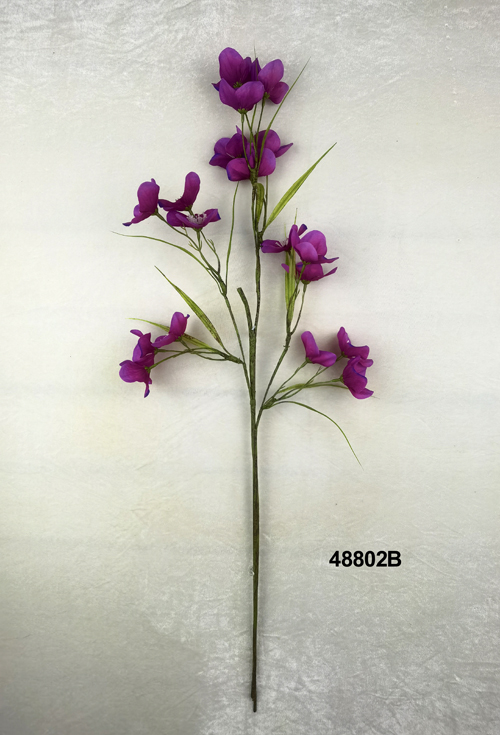 48802B