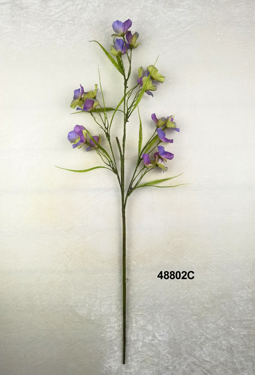 48802C