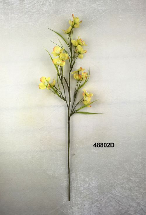 48802D