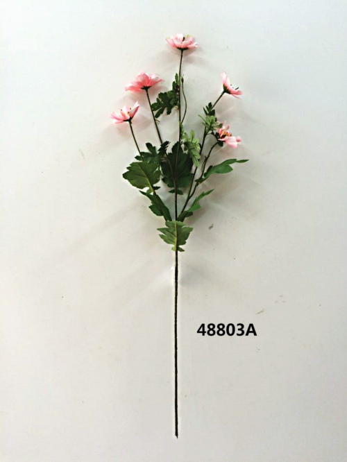 48803A