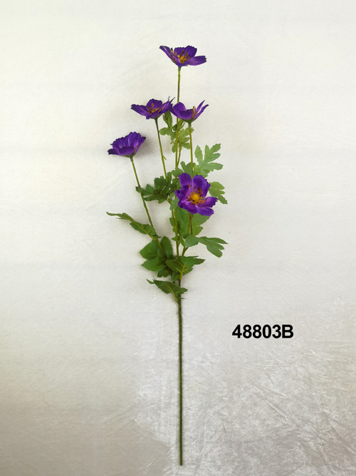 48803B