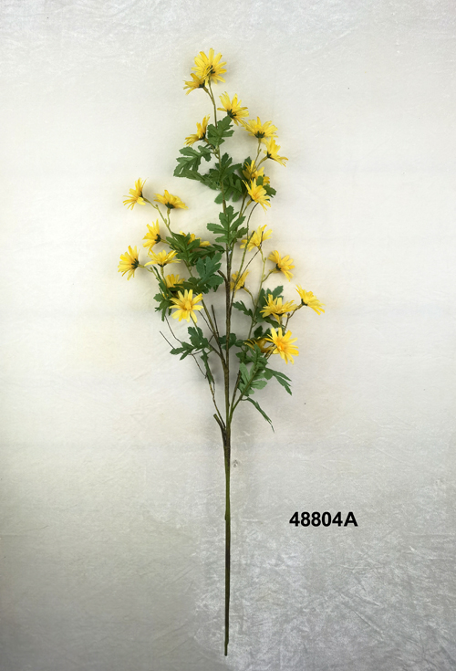 48804A