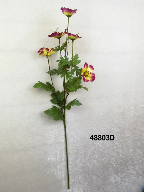 48803D