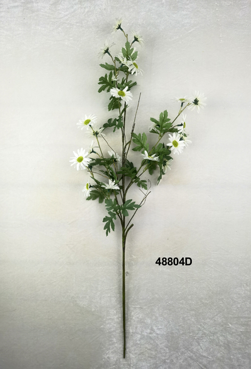 48804D