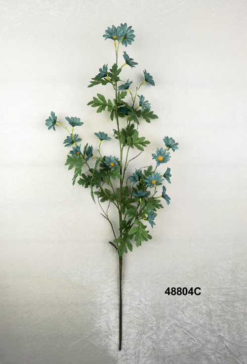 48804C