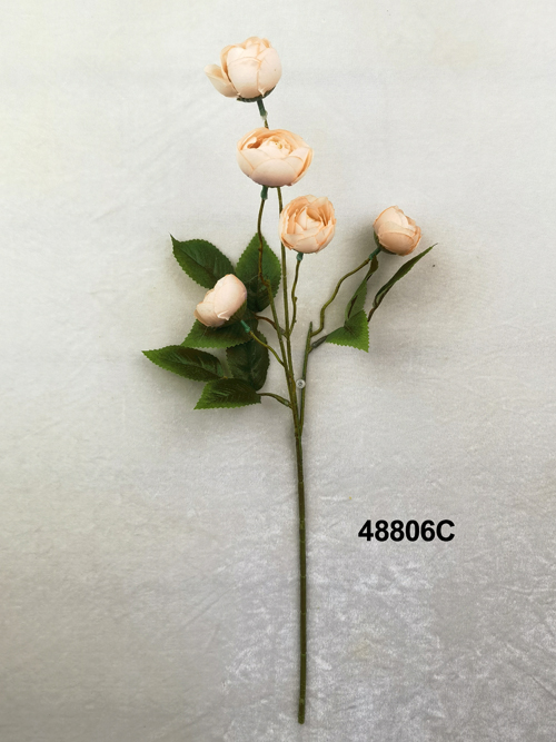 48806C