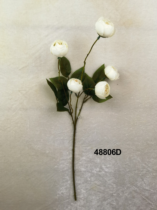 48806D