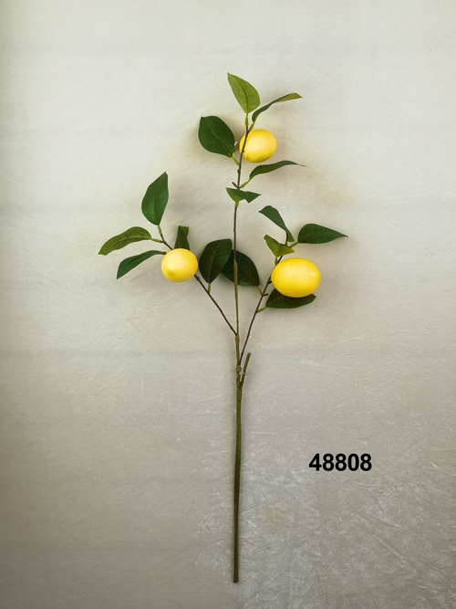 48808