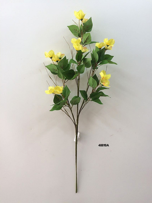 48810A