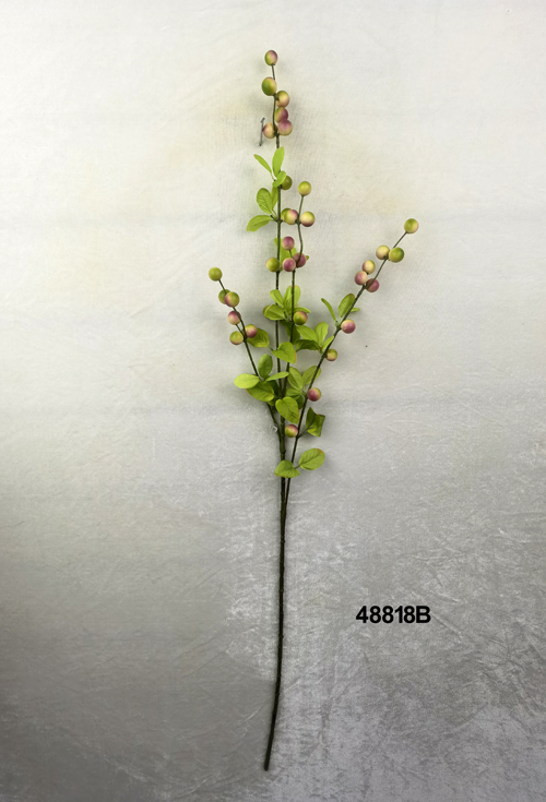 48818B