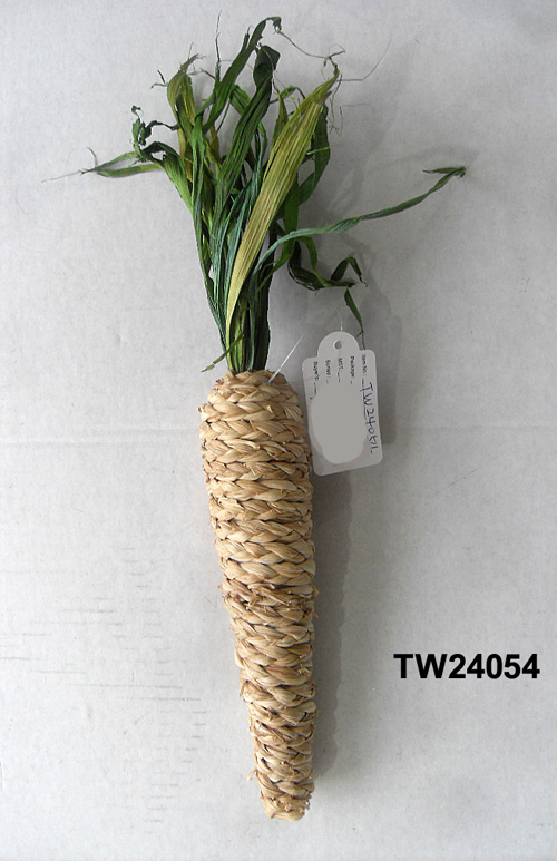 TW24054