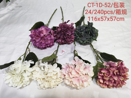 CT-1D-52
