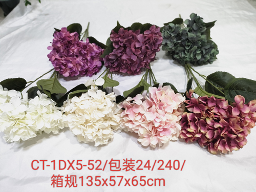 CT-1DX5-52