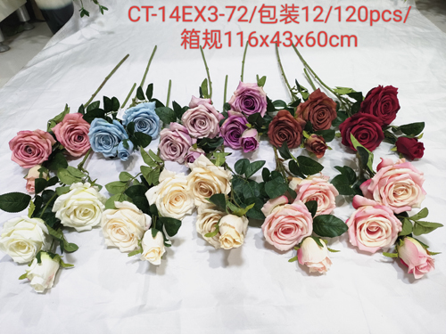 CT-14EX3-72