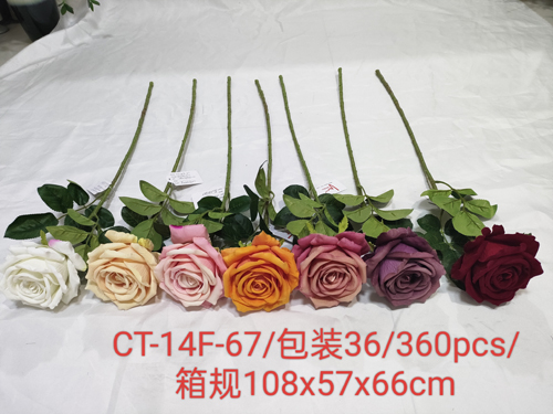 CT-14F-67