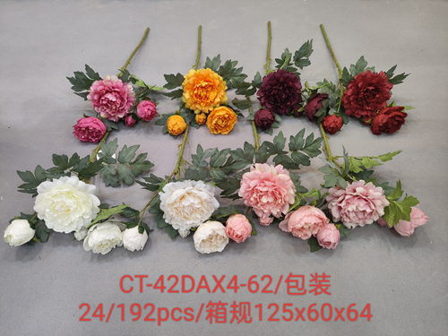 CT-42DAX4-62