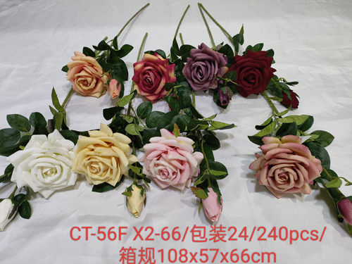 CT-56FX2-66