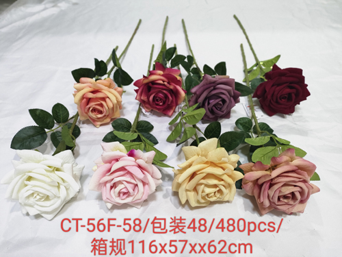 CT-56F-58