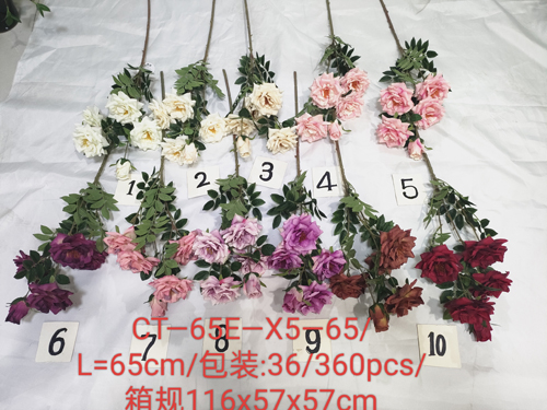 CT-65EX5-65