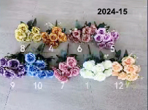 2024-15