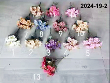 2024-19-2
