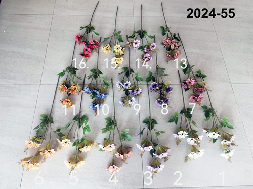 2024-55