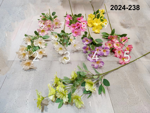 2024-238