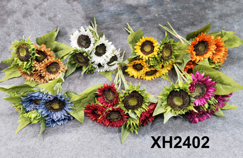 XH2402