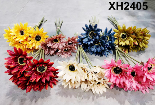 XH2405