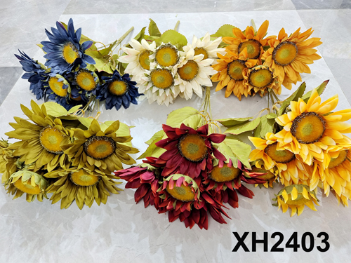 XH2403